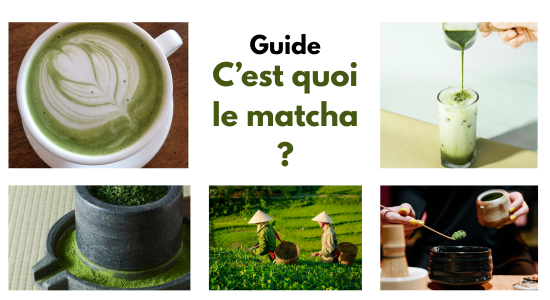 Qu'est-ce que le matcha - guide 2026