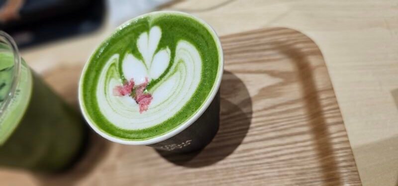Matcha le soir : est-ce que ça empêche de dormir ? La règle des 6h