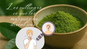 Les cultivars du Matcha : Ce que les marques vous cachent 1 cultivars matcha