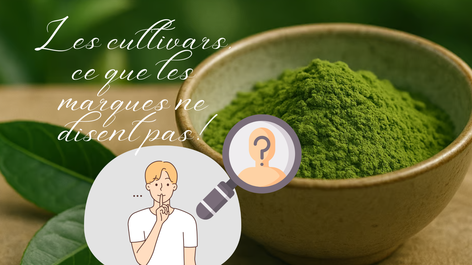 Les cultivars du Matcha : Ce que les marques vous cachent 12 Les cultivars du Matcha : Ce que les marques vous cachent