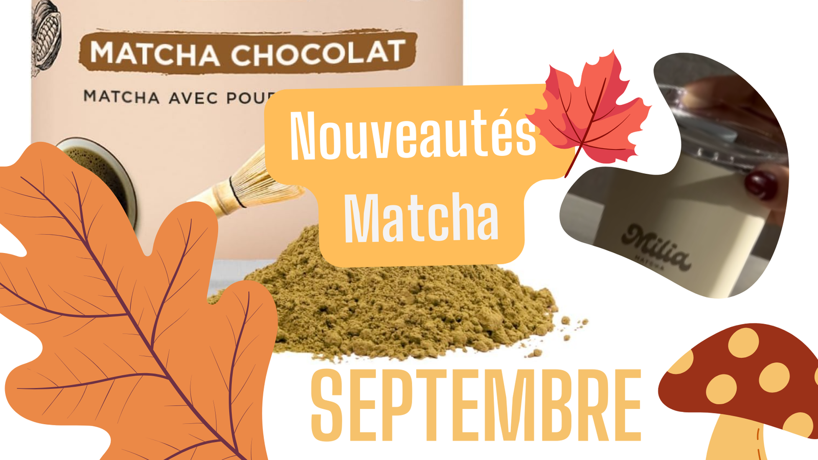 Les Nouveautés Matcha de Septembre 2024 (Anatae, Milia Matcha, Matcha&Co, Noka Matcha) 2 Les Nouveautés Matcha de Septembre 2024 (Anatae, Milia Matcha, Matcha&Co, Noka Matcha)