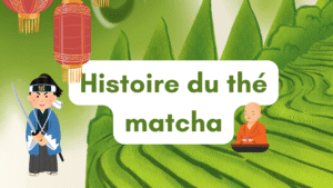 L'histoire du thé matcha : de la Chine au Japon à 2025 7 histoire du thé matcha et origine