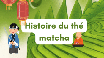 Histoire du thé matcha : Timeline complète des origines chinoises aux traditions japonaises Chronologie de l'histoire du thé matcha de la Chine au Japon, de la dynastie Tang à Sen no Rikyū