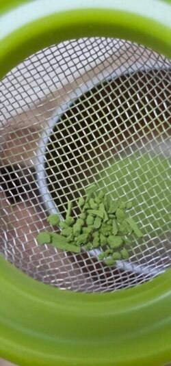 poudre milia matcha