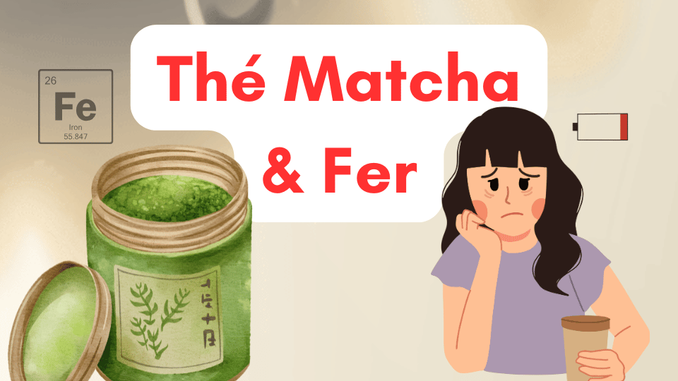 Matcha et fer : faut-il s’inquiéter pour sa ferritine ?