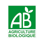 Comment choisir le meilleur thé matcha bio en 2026? 7 telechargement