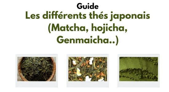 Quels sont les différents thés japonais et leurs différences? (Matcha, hojicha)