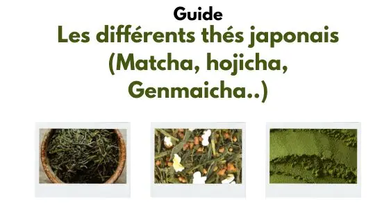 les différents thés japonais guide 2025 matcha hojicha