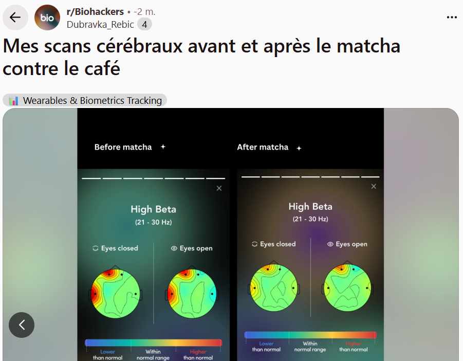 test matcha sur les ondes cérébrales