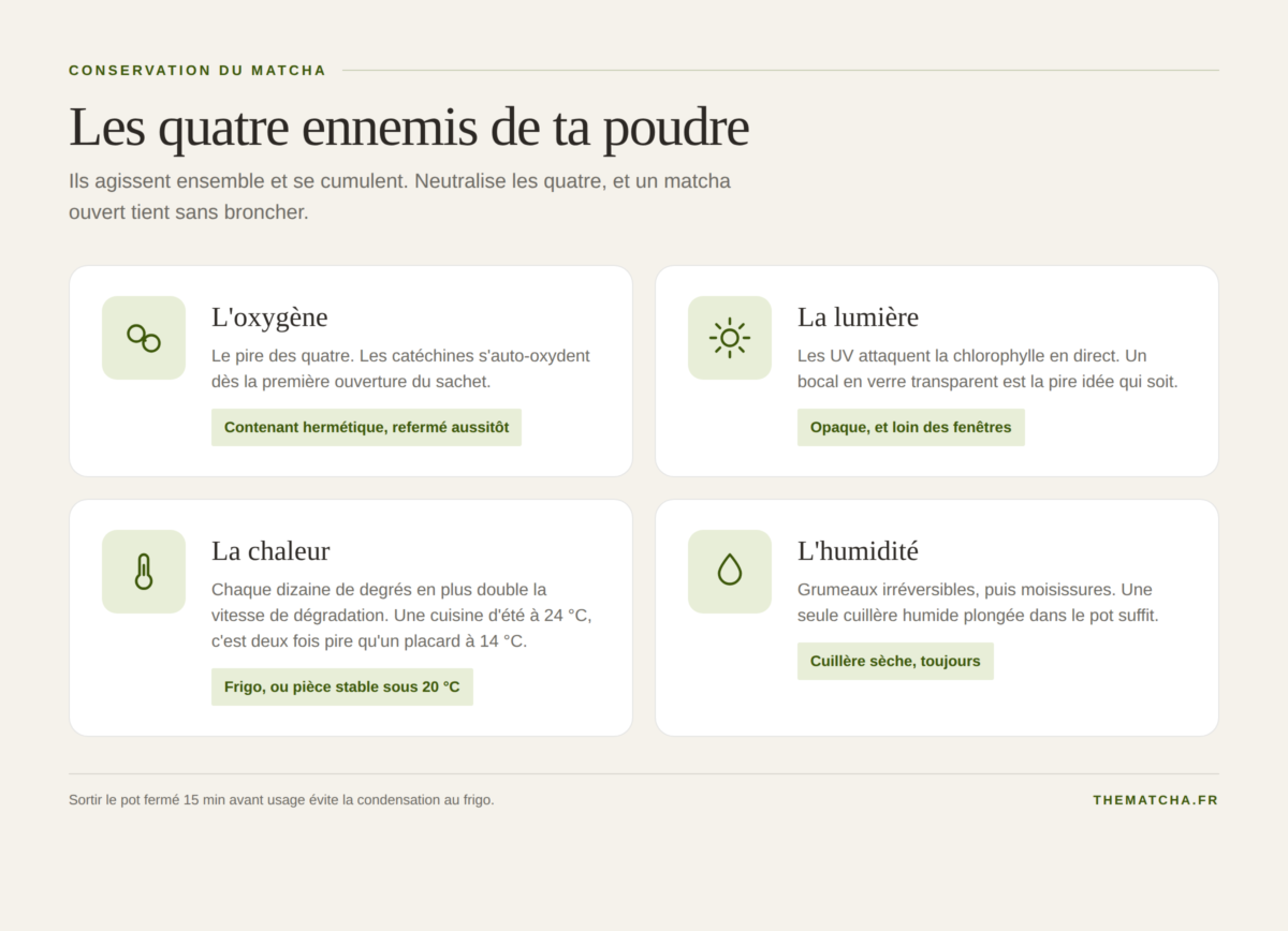 Les quatre ennemis du matcha : oxygène, lumière, chaleur et humidité, avec la parade pour chacun