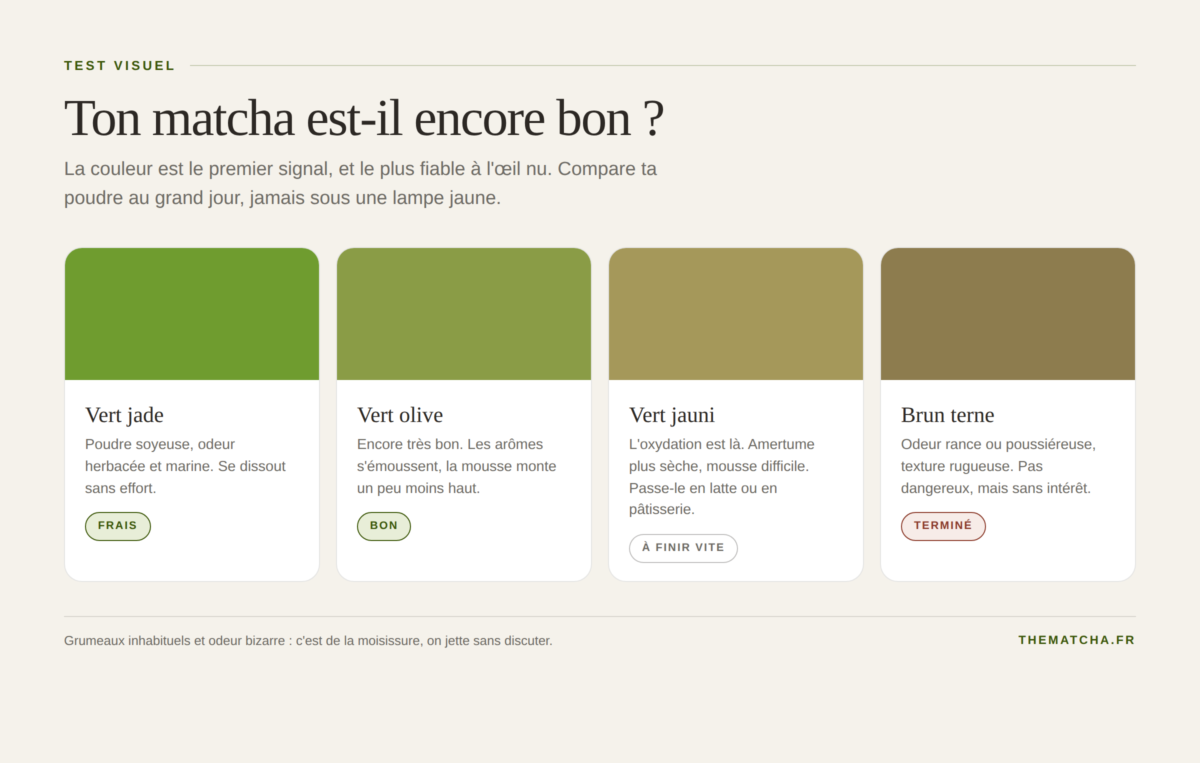 Nuancier de fraîcheur du matcha, du vert jade au brun terne, avec le verdict pour chaque teinte