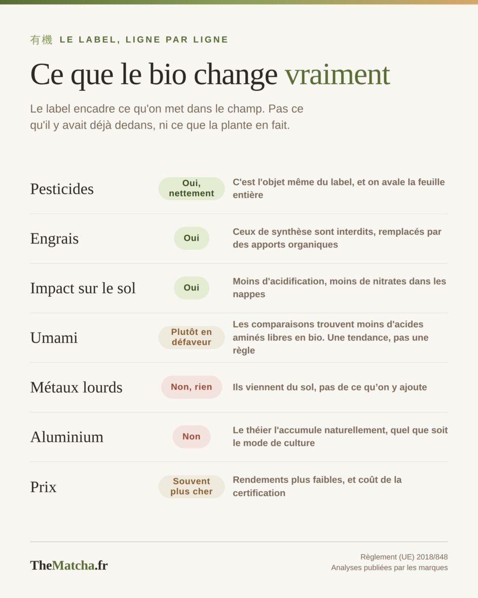 Ce que le label bio change et ne change pas sur un matcha