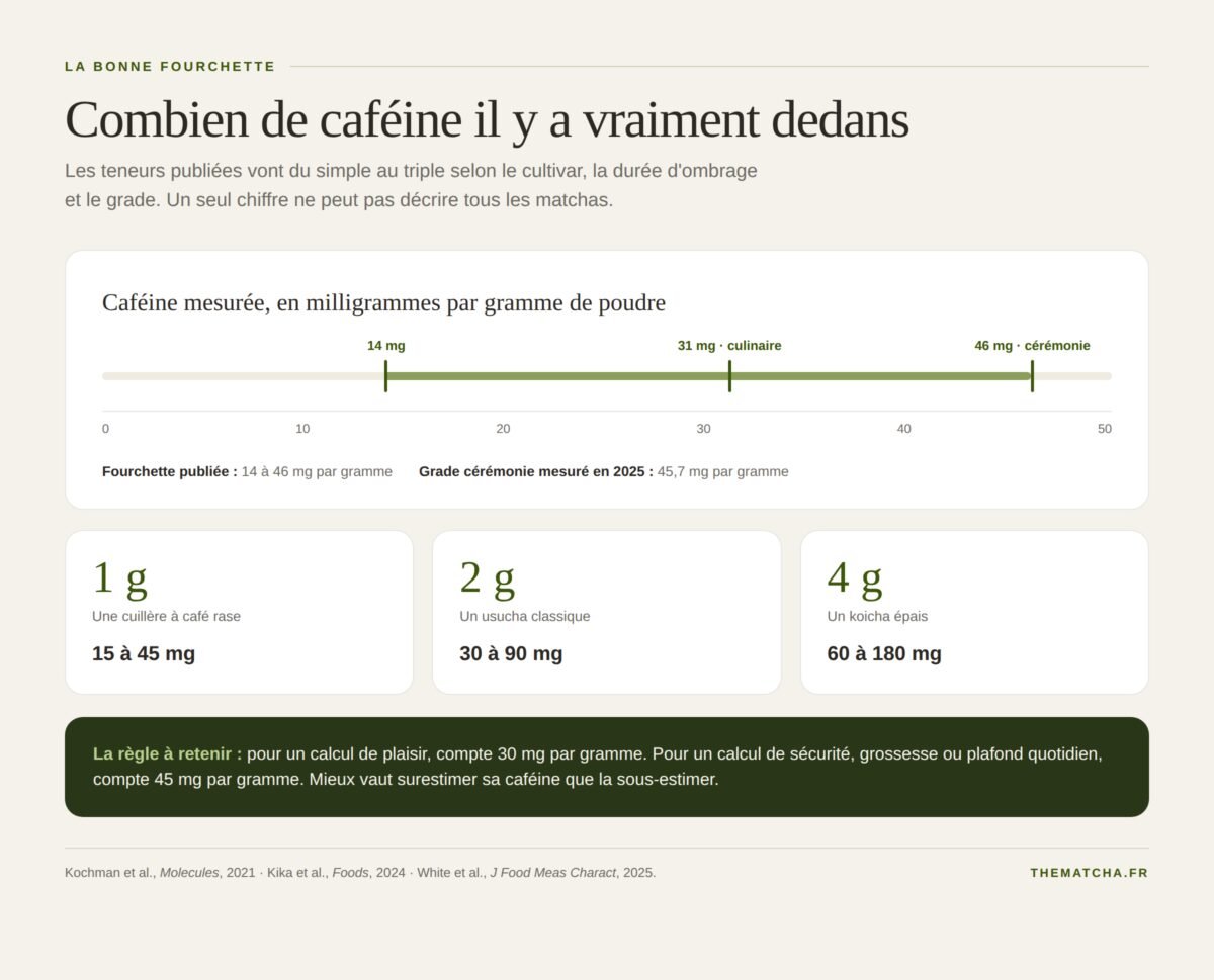 Fourchette de caféine du matcha : de 14 à 46 mg par gramme, et la caféine correspondante pour 1, 2 et 4 grammes de poudre