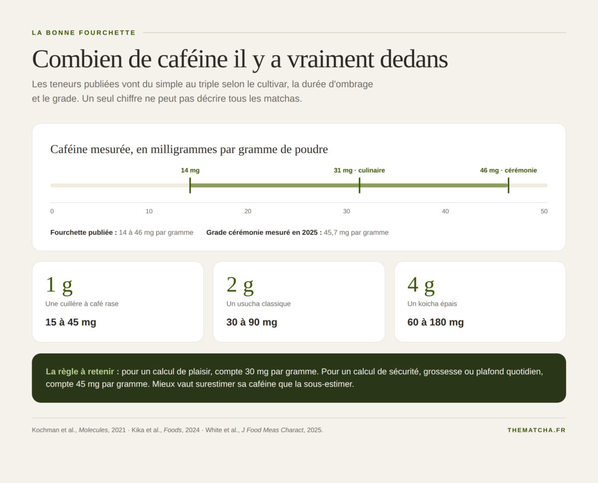 Fourchette de caféine du matcha : de 14 à 46 mg par gramme, et la caféine correspondante pour 1, 2 et 4 grammes de poudre