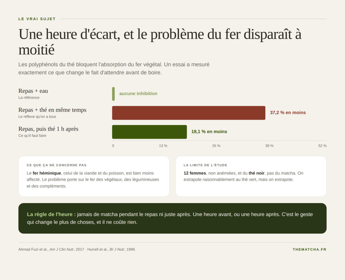 Effet du thé sur l'absorption du fer selon le moment : pendant le repas 37 % d'inhibition, une heure après 18 %