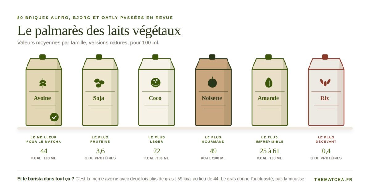 Palmarès des laits végétaux : avoine le meilleur pour le matcha, soja le plus protéiné, coco le plus léger, noisette le plus gourmand, amande le plus imprévisible, riz le plus décevant