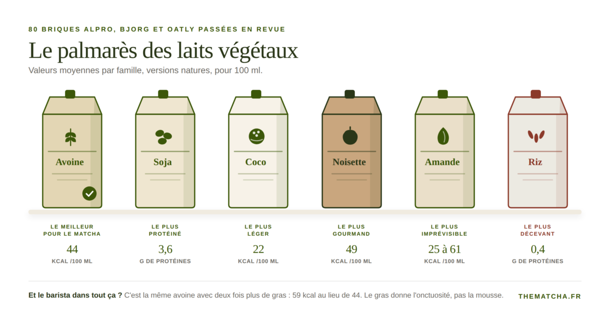 Palmarès des laits végétaux : avoine le meilleur pour le matcha, soja le plus protéiné, coco le plus léger, noisette le plus gourmand, amande le plus imprévisible, riz le plus décevant