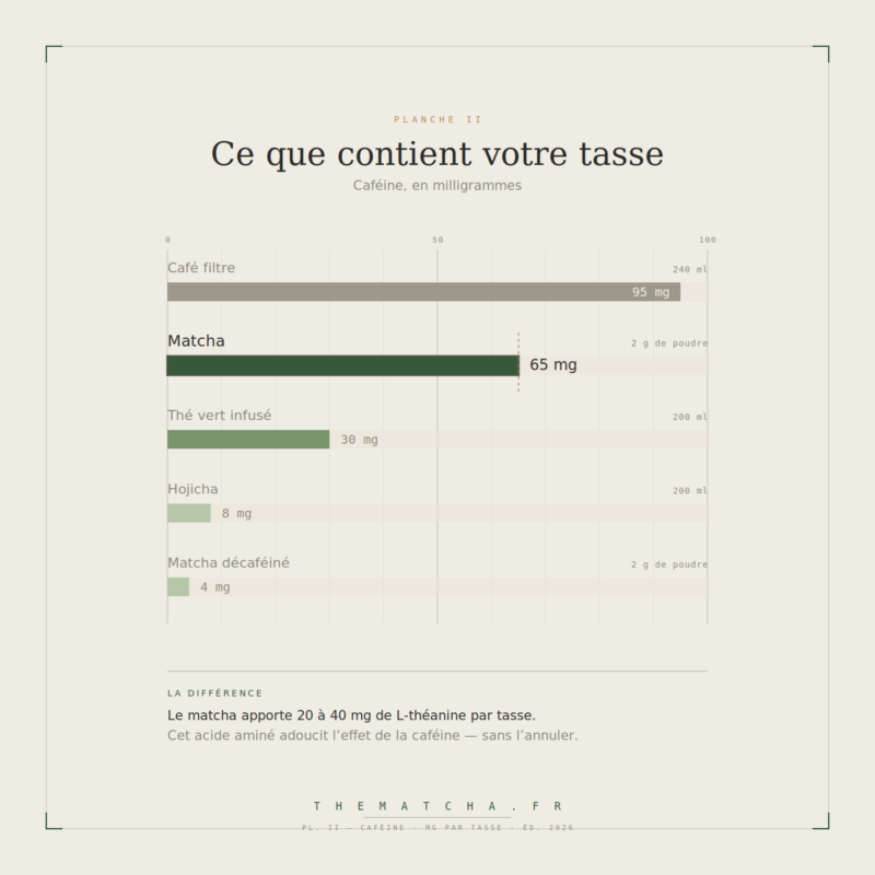 Comparaison de la teneur en caféine : café filtre 95 mg, matcha 65 mg, thé vert infusé 30 mg, hojicha 8 mg, matcha décaféiné 4 mg par tasse