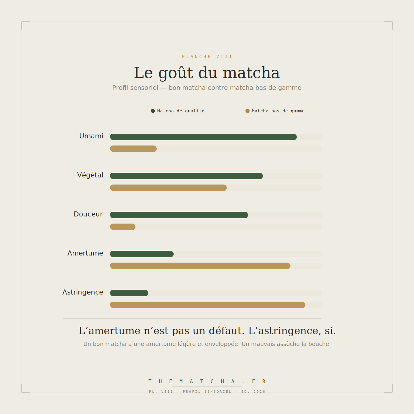 Profil sensoriel comparé : un matcha de qualité est riche en umami, végétal et douceur, avec peu d'amertume et d'astringence ; un matcha bas de gamme est dominé par l'amertume et l'astringence