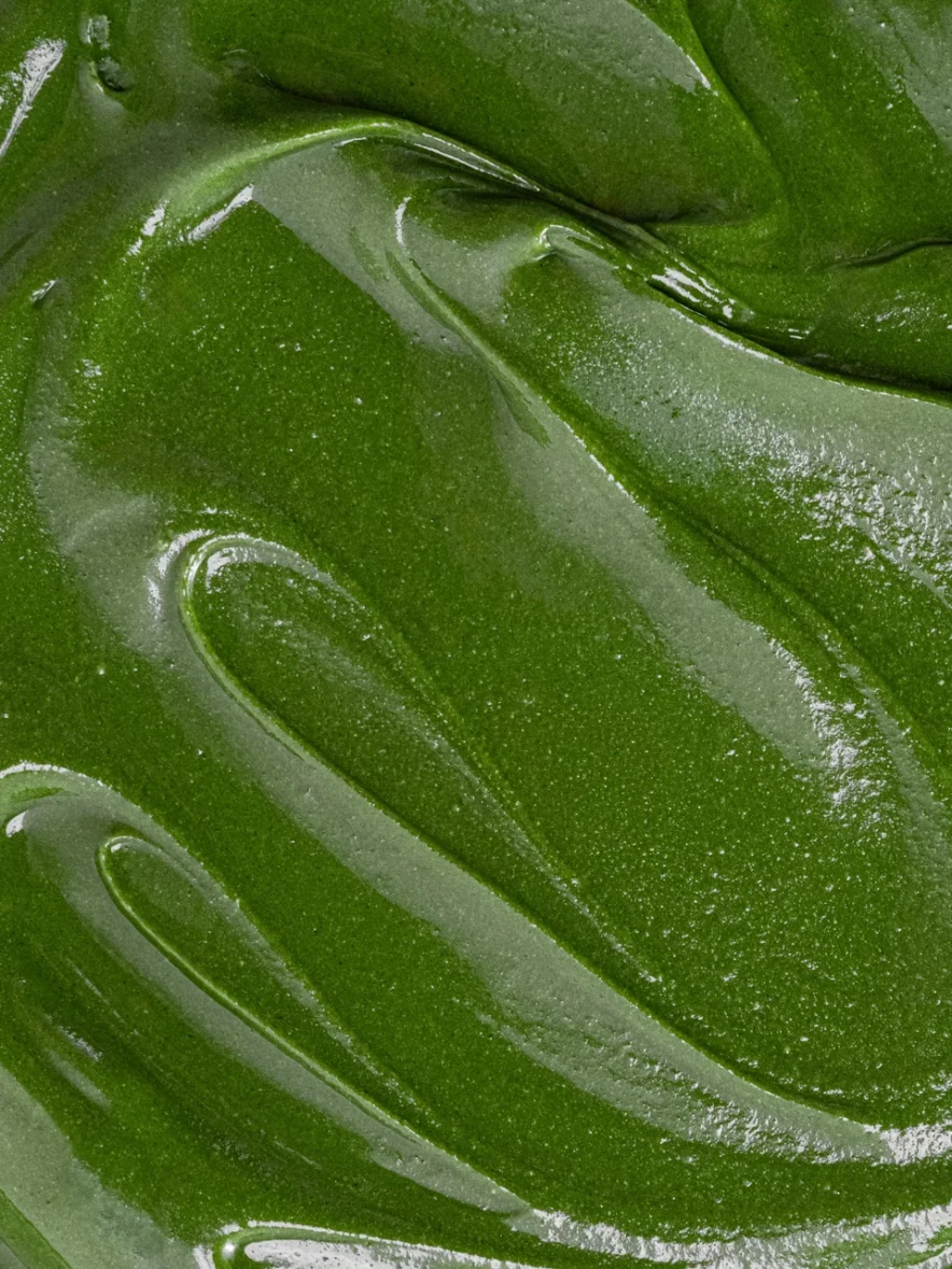 La texture de la pâte à tartiner au matcha à la cuillère